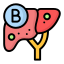 Hepatitis B Icon