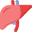 Liver Function Profile Icon